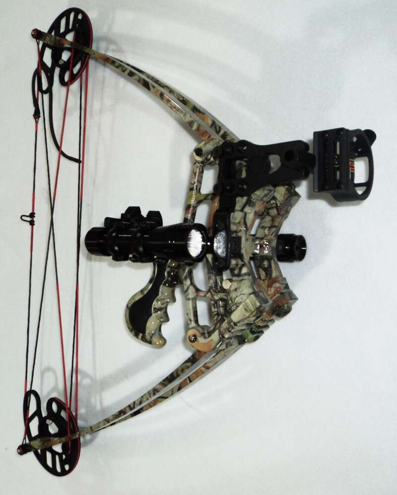 Delta bow compact hunting bow
